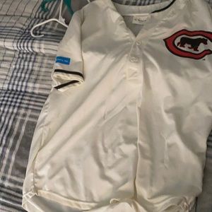 Cubs jersey giveaway